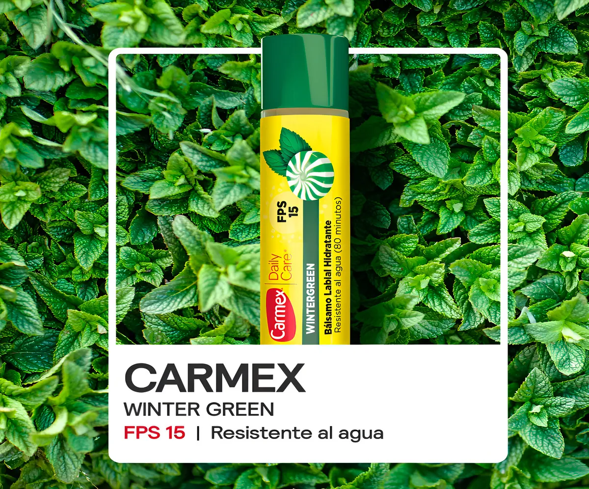 BALSAMO LABIAL HIDRATANTE 4.25G WINTERGREEN CARMEX - Imagen 3